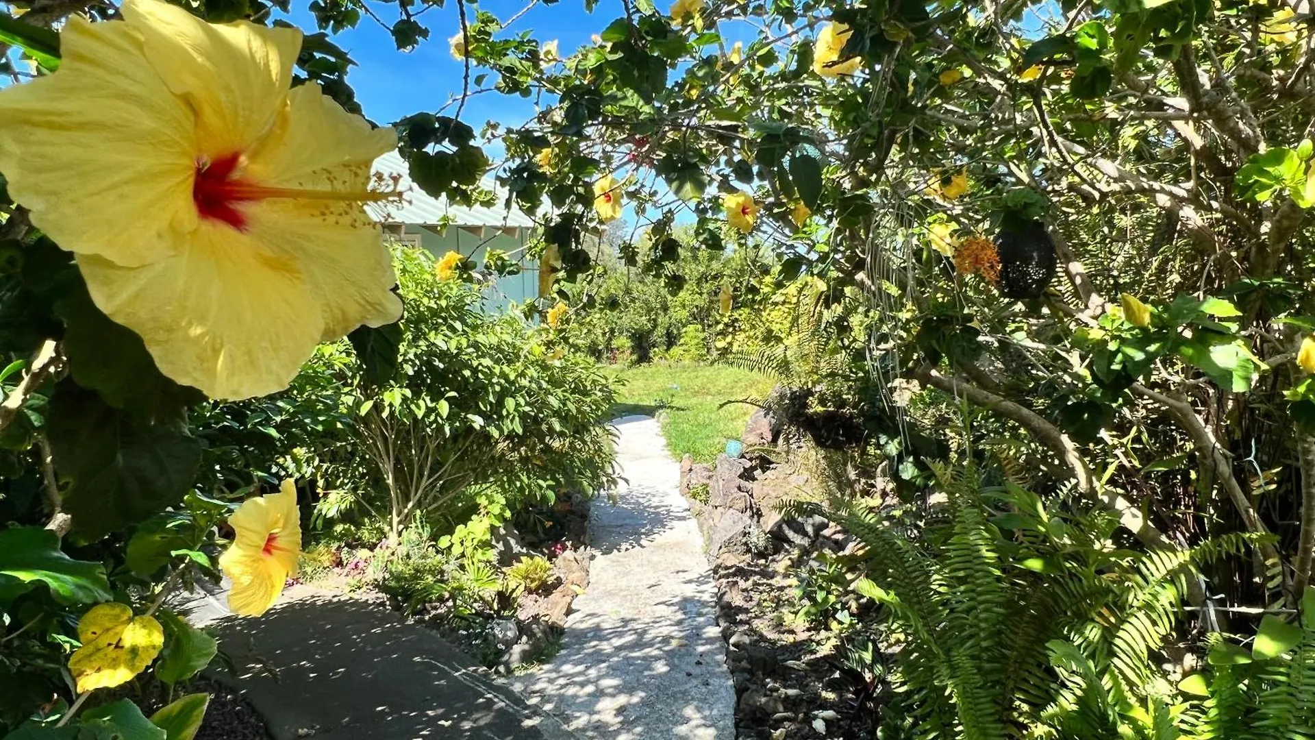 Guest house Kailua Kona Overlook Suites United States